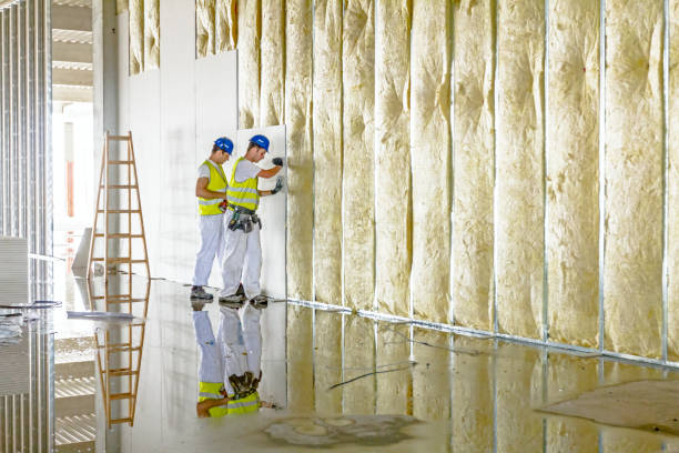 Best Spray Foam Insulation  in Highlands, TX